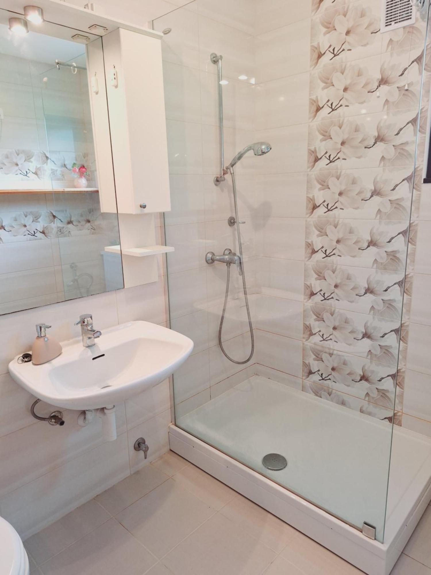 Apartma Ferjan Žaga エクステリア 写真