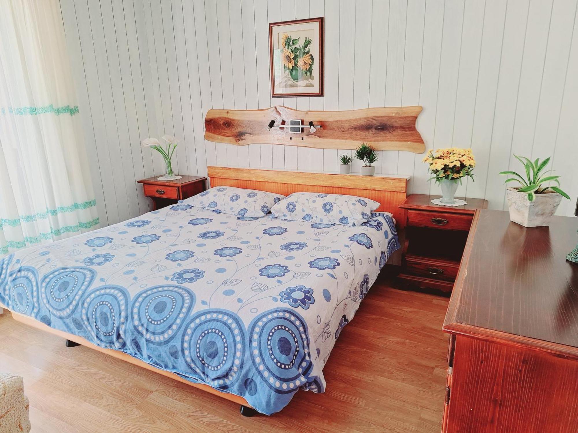 Apartma Ferjan Žaga エクステリア 写真