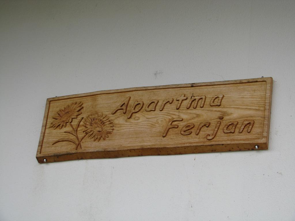 Apartma Ferjan Žaga エクステリア 写真